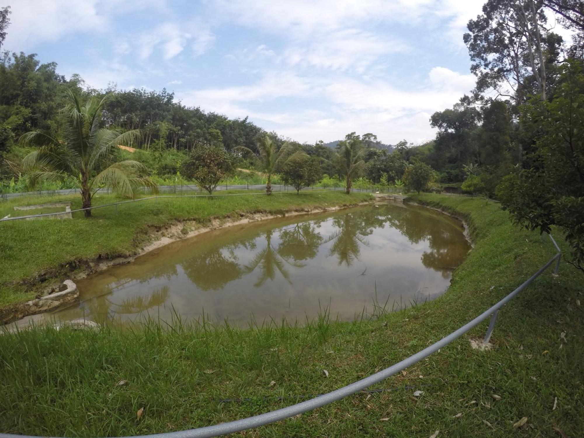 Santai De Lui Resorts Kampong Masjid  Exterior photo